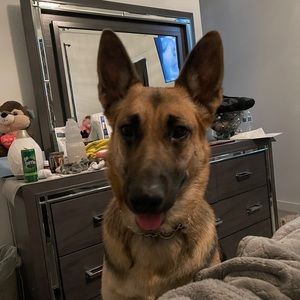 Meet your Posher, Elaine